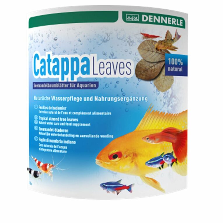 Günstig DENNERLE AquaRico Catappa Leaves