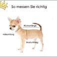 Step-In Hundegeschirr Plain Black