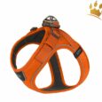 Dog Copenhagen Comfort Walk Go Orange Sun