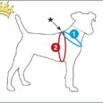 Curli Vest Hundegeschirr Merino Rot