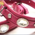 Hundehalsband Thunder Himbeere Petit