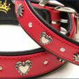 Halsband Zürs Deluxe Rot Big
