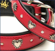 Halsband Zrs Deluxe rot detail 1280x1280