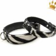 Hundehalsband Nairobi Zebra