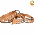 Malucchi Hundehalsband Bright Cognac