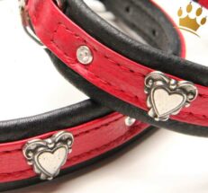 Hundehalsband Herzerl Detail Rot 1280x1280