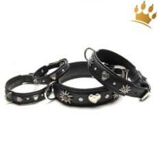 Hundehalsband St Luc schwarzRSppzGKJghcri 1280x1280
