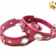 Hundehalsband Thunder Himbeere Petit