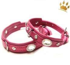 Hundehalsband Thunder Himbeere 1280x1280