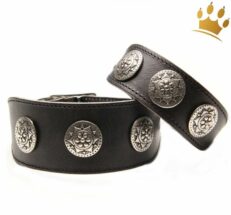 Hundehalsband aloke Greyhound schwarz4xFFU5UNSSSO0 1280x1280