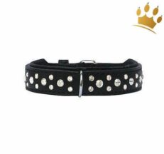 Hundehalsband extreme black 1280x1280