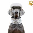 Duftmarke Hunde-Loop Seehund 3