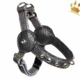 Malucchi Hundegeschirr Movie Bright Schwarz