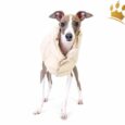 Puppyangel Hundemantel Love Faux Beige