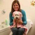 Hundebadehandtuch Häschen