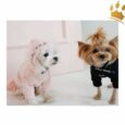 Puppy Angel Hundesweater Basic Rosa