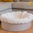 Hundebuddelnest Beige