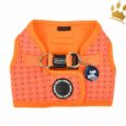 Puppia Step-In Geschirr Bonnie Orange