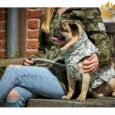 Winter Hundeparka Camouflage Grey Mops & Co.