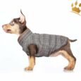 Milk & Pepper Hundemantel Cardfiff