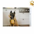 P.L.A.Y. Hundespielzeug Chicken Woofles