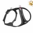 Curli Magnetic Belka Comfort Schwarz