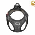 Curli Vest Hundegeschirr Merino Schwarz