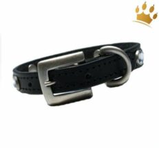 diamondhalsband schnalle 1280x1280