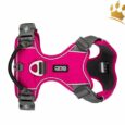 Dog Copenhagen Hundegeschirr V2 Comfort Walk (Pro) Wild Rose