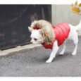Puppyangel Hundeweste Double Down Hood Rot