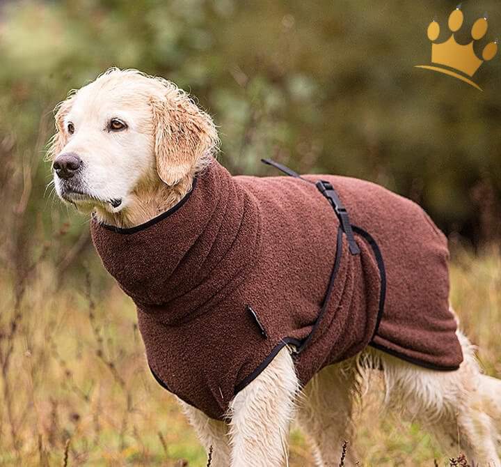 Günstig DryUp Bade-Cape Big Braun in unserem Hundeshop im Preisvergleich kaufen.