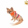 For Pets Only Hundeshirt Lollypop Multicolore T-Shirt