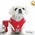 Puppia Step In Hundegeschirr Seaman Rot