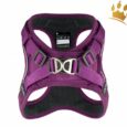 Dog Copenhagen Comfort Walk Go Purple Passion