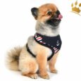 Puppia Softgeschirr Seaman Blau