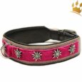 Hundehalsband Gipfelstürmer Pink