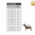 Milk & Pepper Hundesweater Rookie