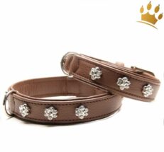 halaband luxury paw braun 1280x1280