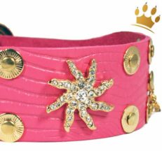 halsband Estrella de Mar Pi 1280x1280