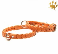 halsband ascot petite orange6AOvNoEDnQOd2 1280x1280