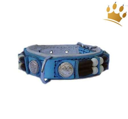 Günstig Hundehalsband Baby Blue Eagle 15mm in unserem Hundeshop im Preisvergleich kaufen.
