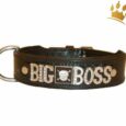 Hundehalsband The Big Boss