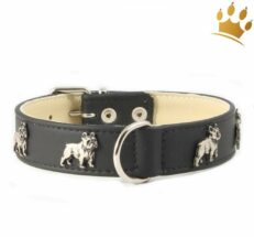 halsband bully schwarz 1280x1280