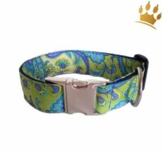 halsband carnaby 1280x1280
