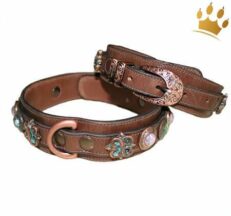 halsband chartogo 1280x1280