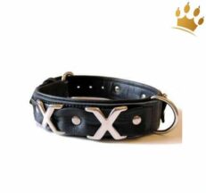 halsband cross over black 1280x1280