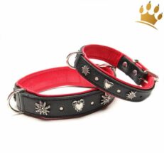 halsband edelweiss schwarz rot 1280x1280