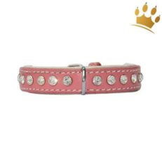 halsband extrem rosa 1280x1280