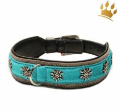 halsband gipfelsturmer turkis 1280x1280