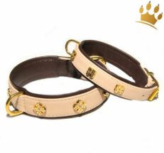 halsband leder Kairo Royal elfenbein 1280x1280